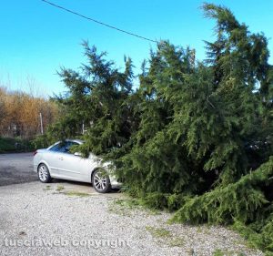 Viterbo - Valle Faul - Albero caduto su una macchina