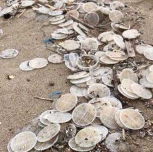 I dischetti sulle spiagge italiane