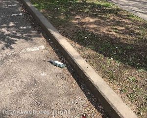Viterbo - Bottiglie di alcol lasciate in strada