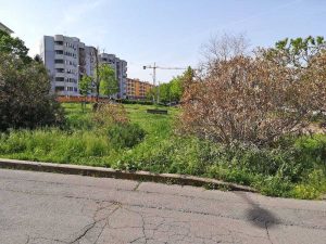 Viterbo - Le erbacce a santa Barbara 
