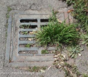 Viterbo - Via Rossini - Tombino nel degrado