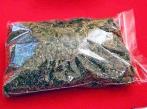 Il chilo di marijuana sequestrato all'albanese
