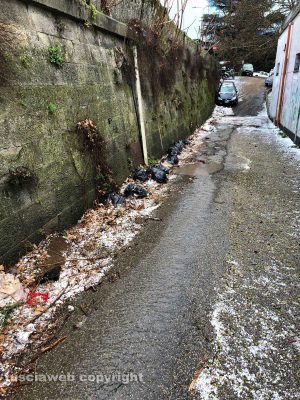 Viterbo - Via Torino discarica a cielo aperto