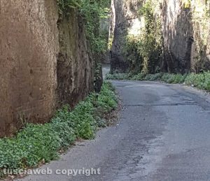 Viterbo - Via Vico Squarano nel degrado
