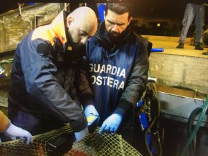 I controlli della guardia costiera