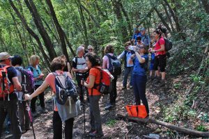 Gli 'Amici del Ruffini' alla scoperta del monte Soratte