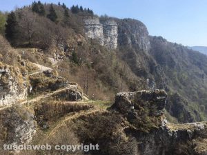 I sentieri scavati dai soldati sul Monte Cengio