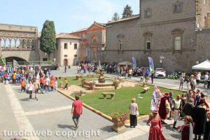 Viterbo - San Pellegrino in Fiore 2018 - Piazza San Lorenzo