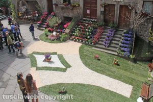 Viterbo - San Pellegrino in Fiore 2018 - Piazza San Pellegrino