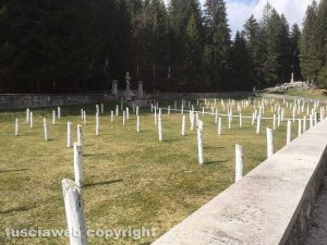 Il cimitero di guerra austriaco detto degli "alberi mozzi"