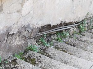 Viterbo - Degrado al cimitero di San Lazzaro 