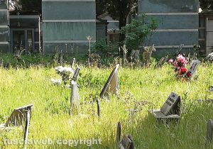Viterbo - Degrado al cimitero di San Lazzaro 