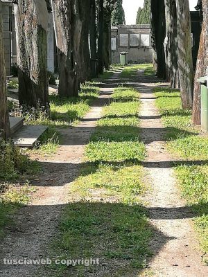 Viterbo - Degrado al cimitero di San Lazzaro 