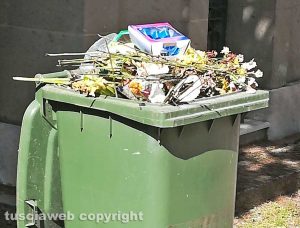 Viterbo - Degrado al cimitero di San Lazzaro 