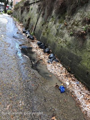 Viterbo - Via Torino discarica a cielo aperto