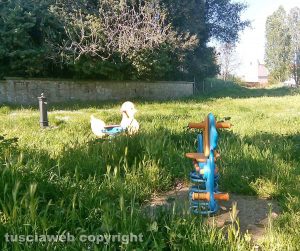 Viterbo - Erba alta al parco in via G. Puccini 