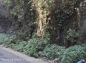 Viterbo - Via Vico Squarano nel degrado