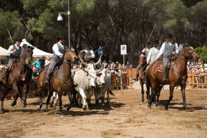 Montalto di Castro - Maremma d'aMare 2018
