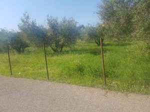 Tobia - L'area recintata