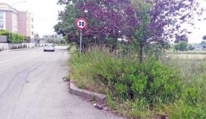 Viterbo - Erba alta in via Ondina valla
