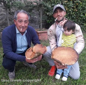 Viterbo - Il fungo da due chili e mezzo