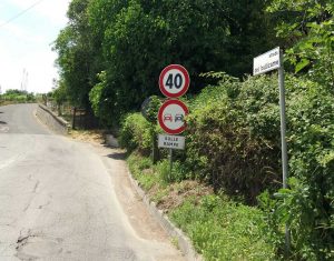 Viterbo - Pianta pericolante in strada Bullicame