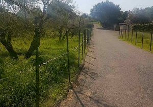 Tobia - L'area recintata