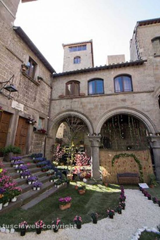 Viterbo - San Pellegrino in fiore