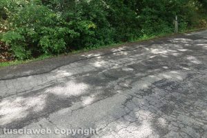 Montefiascone - La strada che porta a Bolsena