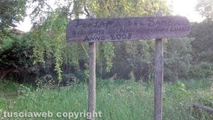 Montefiascone - La via Francigena sommersa dalle erbacce
