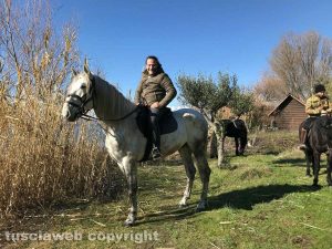 Faraon con Marco Marchi
