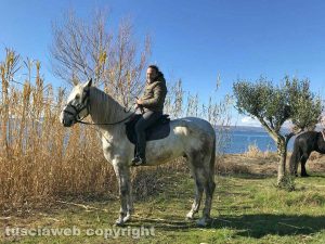 Faraon con Marco Marchi
