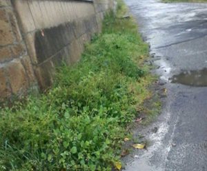 Degrado e buche a Trevinano