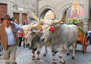 Viterbo – La processione del santissimo Salvatore