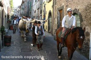 Latera - La festa di sant'Isidoro 