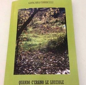 La copertina del primo romanzo di Giancarlo Torricelli