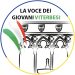 La voce dei giovani viterbesi