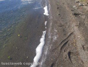 Montefiascone - Località Lucrino - Schiuma nell'acqua del lago