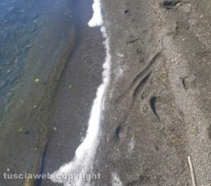 Montefiascone - Località Lucrino - Schiuma nell'acqua del lago
