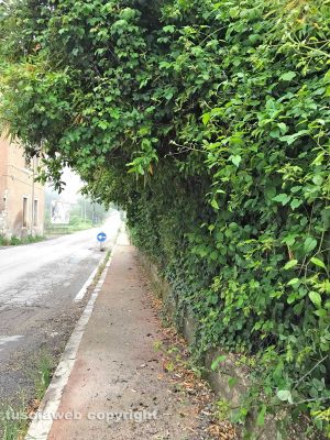 Fabrica di Roma - Erba alta sul marciapiede 