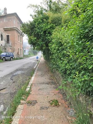Fabrica di Roma - Erba alta sul marciapiede 