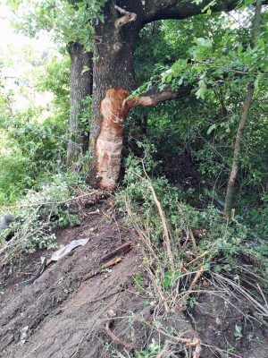 Viterbo - Incidente mortale in strada Cimina
