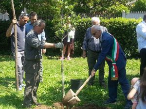 Vetralla - Gli alberi piantati per ogni bambino nato o adottato