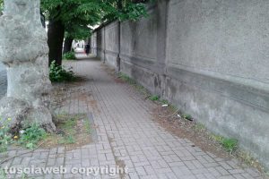 Viterbo - Incuria su via Francesco Baracca
