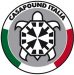 Casapound