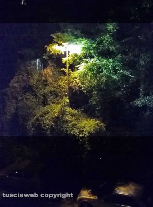 Viterbo - L’illuminazione in via Fratelli Bandiera