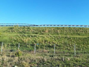 Tirrenica - Lotto 6A