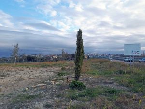 Tirrenica - Lotto 6A