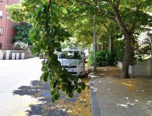 Viterbo - Marciapiedi inaccessibili in via Tarconte
