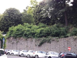 Montefiascone - Il prato giardino